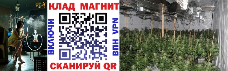 Где купить наркоту Надым ГАШИШ  Cocaine  A PVP  Меф 