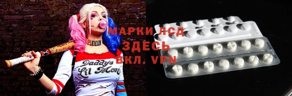 эйфоретик Баксан