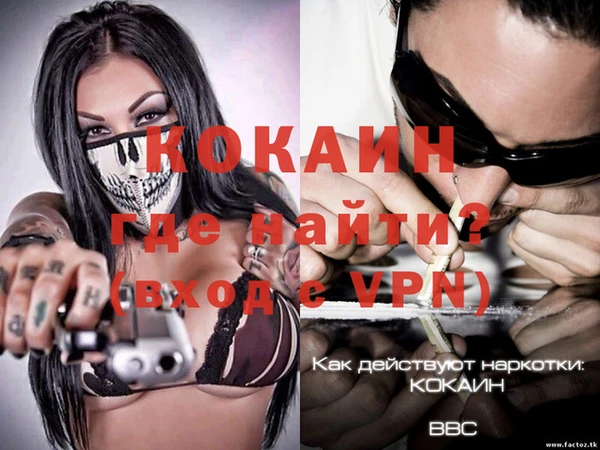 эйфоретик Баксан