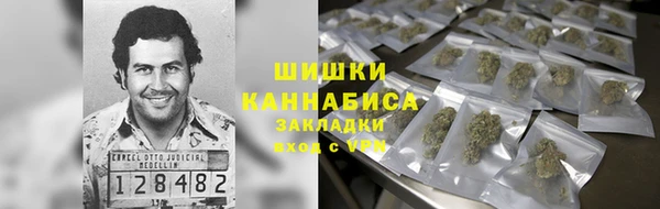 ГАЛЛЮЦИНОГЕННЫЕ ГРИБЫ Балабаново