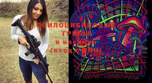 ГАЛЛЮЦИНОГЕННЫЕ ГРИБЫ Балабаново