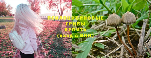 ГАЛЛЮЦИНОГЕННЫЕ ГРИБЫ Балабаново