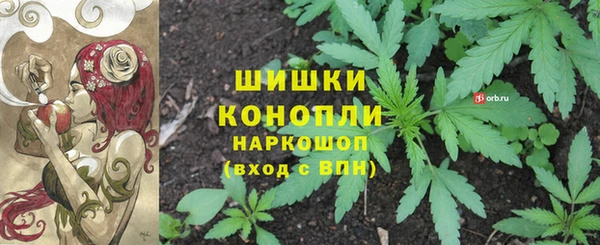 ГАЛЛЮЦИНОГЕННЫЕ ГРИБЫ Балабаново