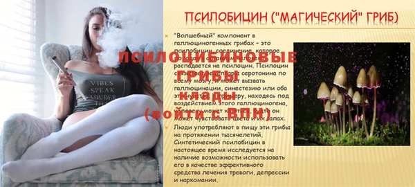 ГАЛЛЮЦИНОГЕННЫЕ ГРИБЫ Козельск