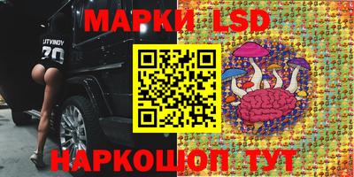 ГАЛЛЮЦИНОГЕННЫЕ ГРИБЫ Кинель