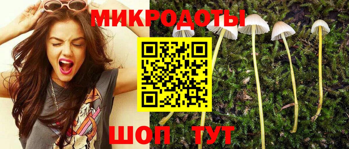 Надым  Галлюциногенные грибы Psilocybe  купить закладку  Вход с VPN 