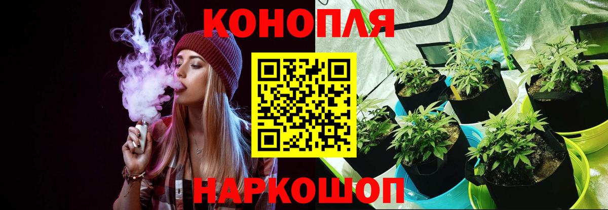 Бошки Шишки план Надым